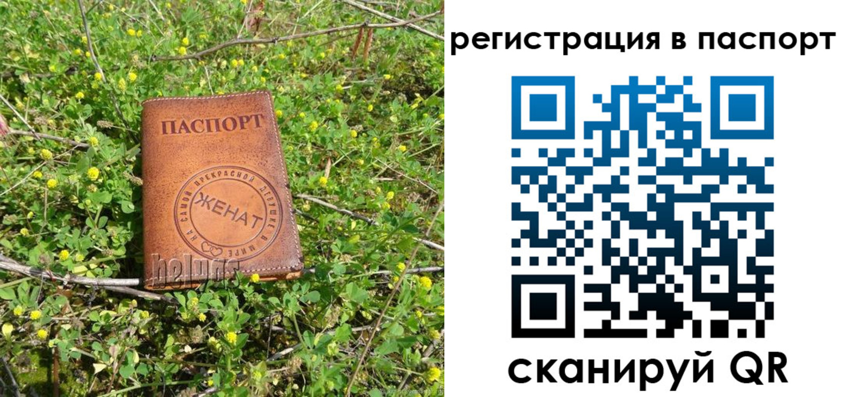 прописка законно в Асино